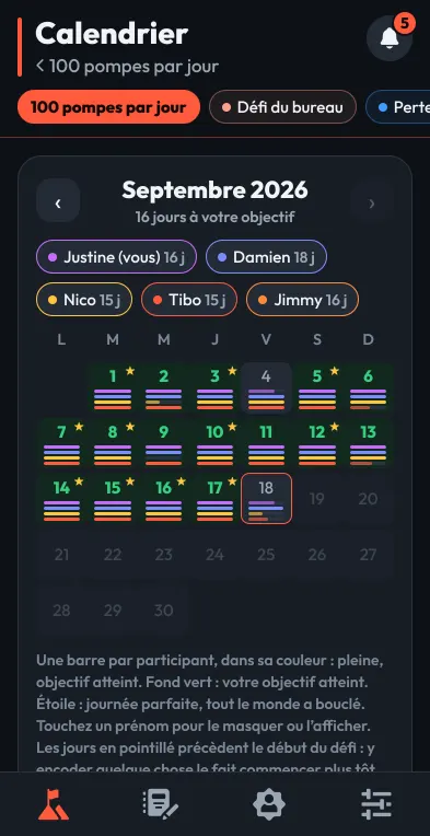 A challenge calendar: one bar per participant and per day.