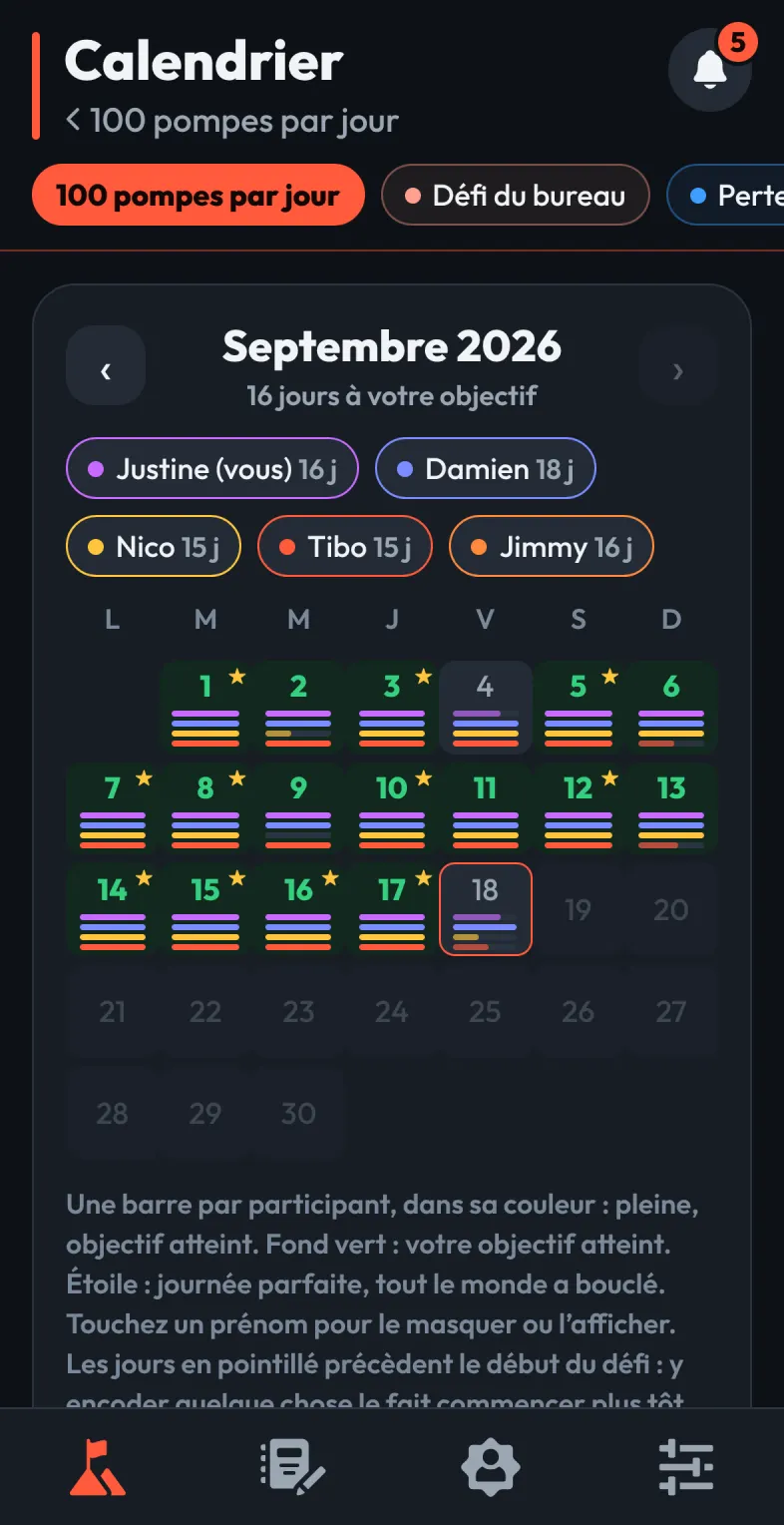 A challenge calendar: one bar per participant and per day.